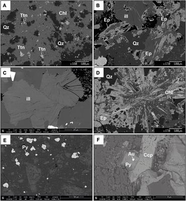 The propylitic alteration in the Ponce Enriquez Gold Mining district, Azuay province, Ecuador: genetic constraints from a mineral chemistry and fluid inclusions study